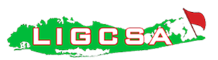 LIGCSA logo